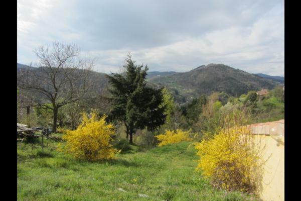 Gite De La Suche Lamastre Luaran gambar